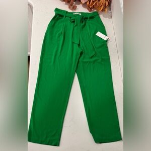 Wide Leg Tie-Waist Pants in Emerald Green